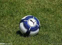 何炅,汪涵,谢娜离弃芒,哈哈体育官方网站,哈哈体育,(HAHA,SPORT),哈哈体育平台首页,哈哈体育平台官网入口