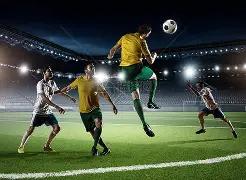 日赛恩斯调,研活动,南方基金,哈哈体育官方网站,哈哈体育,(HAHA,SPORT),哈哈体育平台首页,哈哈体育平台官网入口