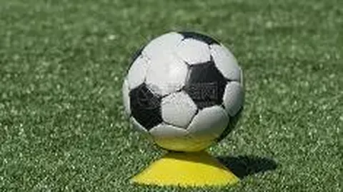 哈哈体育平台首页 产品 102857 leu