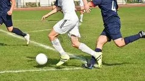 建议提升“一网统管”效能，助力城市治理现代化邱晏