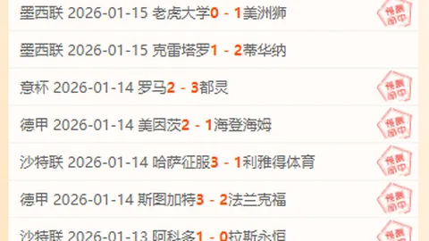 2025賽季英超賽程正式公布